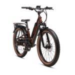 Rad Power Bikes Radster Trail Electric Off-Road Bike – 750W Motor, 28 MPH Top Speed, UL Certified - Image 2